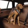 Seatbelt Harness For Dogs