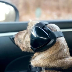 Ear Protection For Dogs