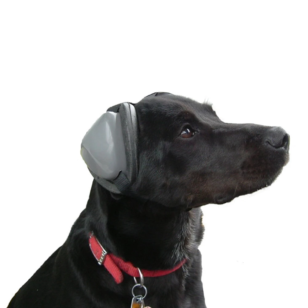 Ear Protection For Dogs - Image 5