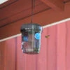 Fly And Wasp Trap