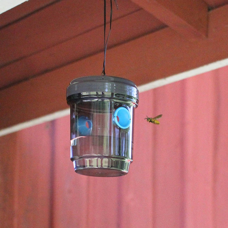 Fly And Wasp Trap