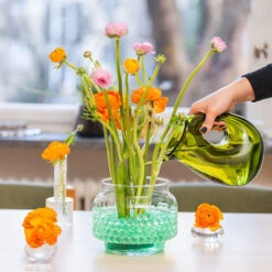 Water Beads For Plants