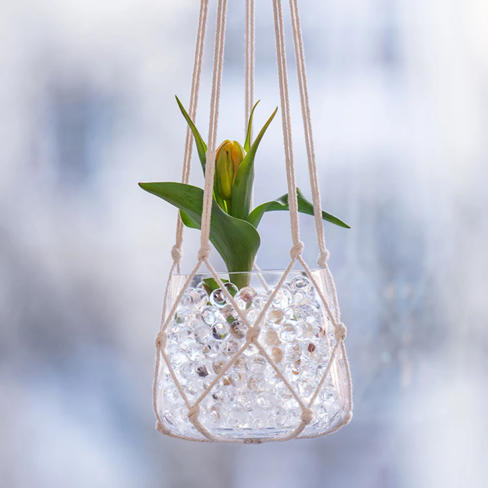 Water Beads For Plants - Image 2