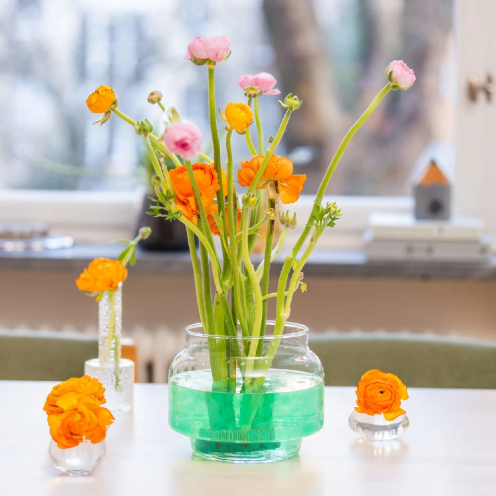 Water Beads For Plants - Image 5