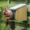 Squirrel Feeder