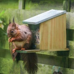 Squirrel Feeder