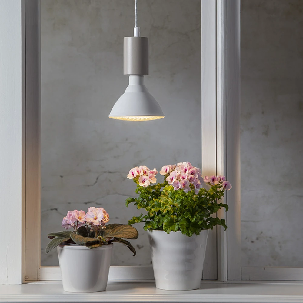 Plant Lamp - Image 2