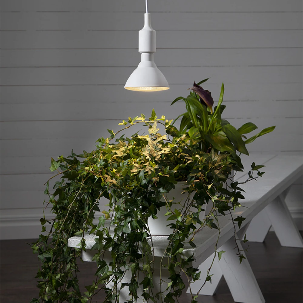 Plant Lamp - Image 4