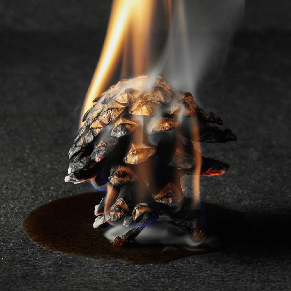 Fire Starting Pine Cone, 9-pack - Image 2