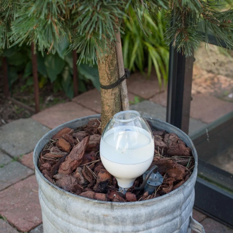 Plant Waterer
