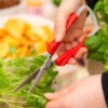 Ergonomic Kitchen Scissors