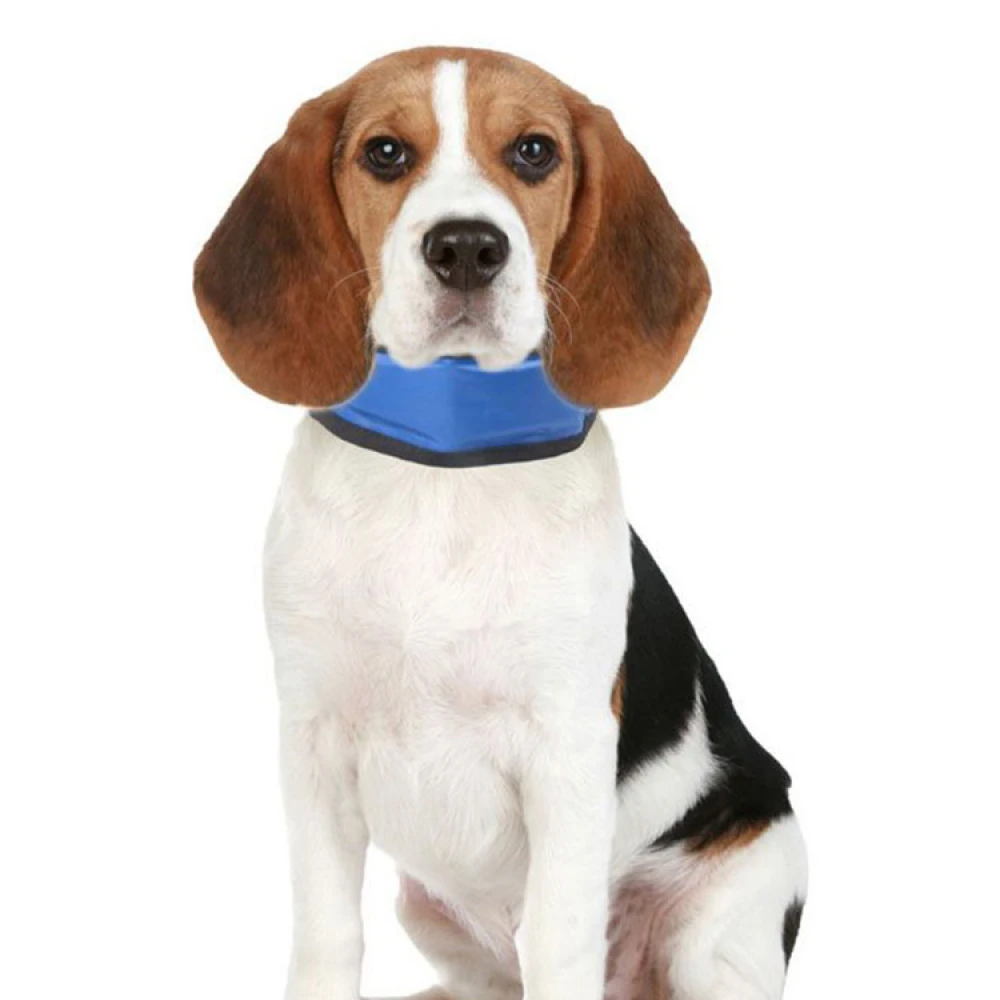 Cooling Bandanna For Dogs - Image 2