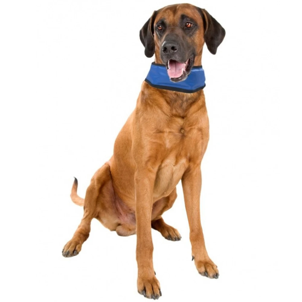 Cooling Bandanna For Dogs - Image 3