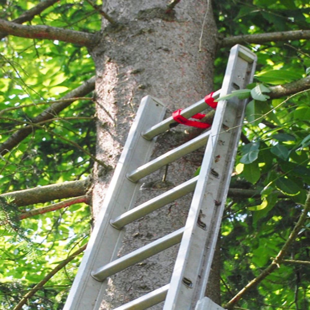 Strap With Quick Release Buckle - Image 6