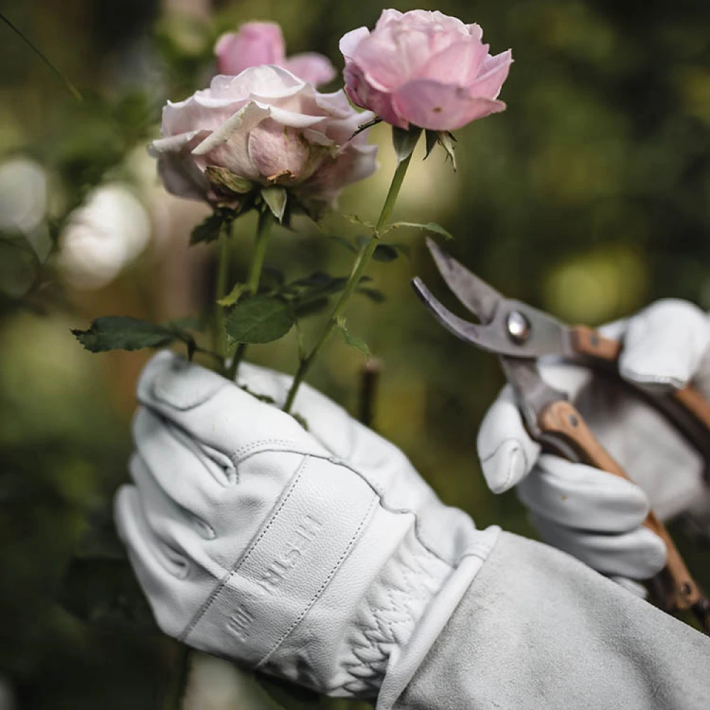 Rose Gloves - Image 5