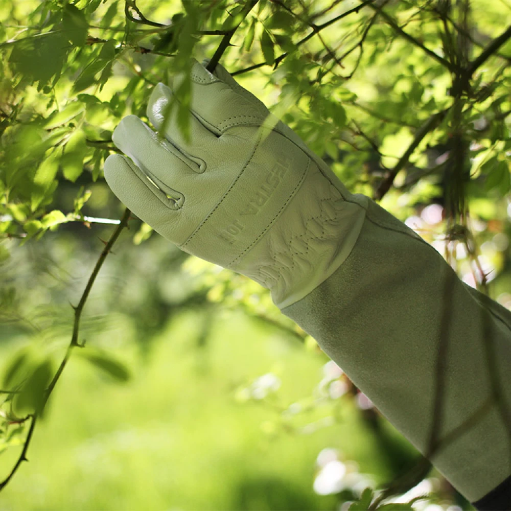 Rose Gloves - Image 6