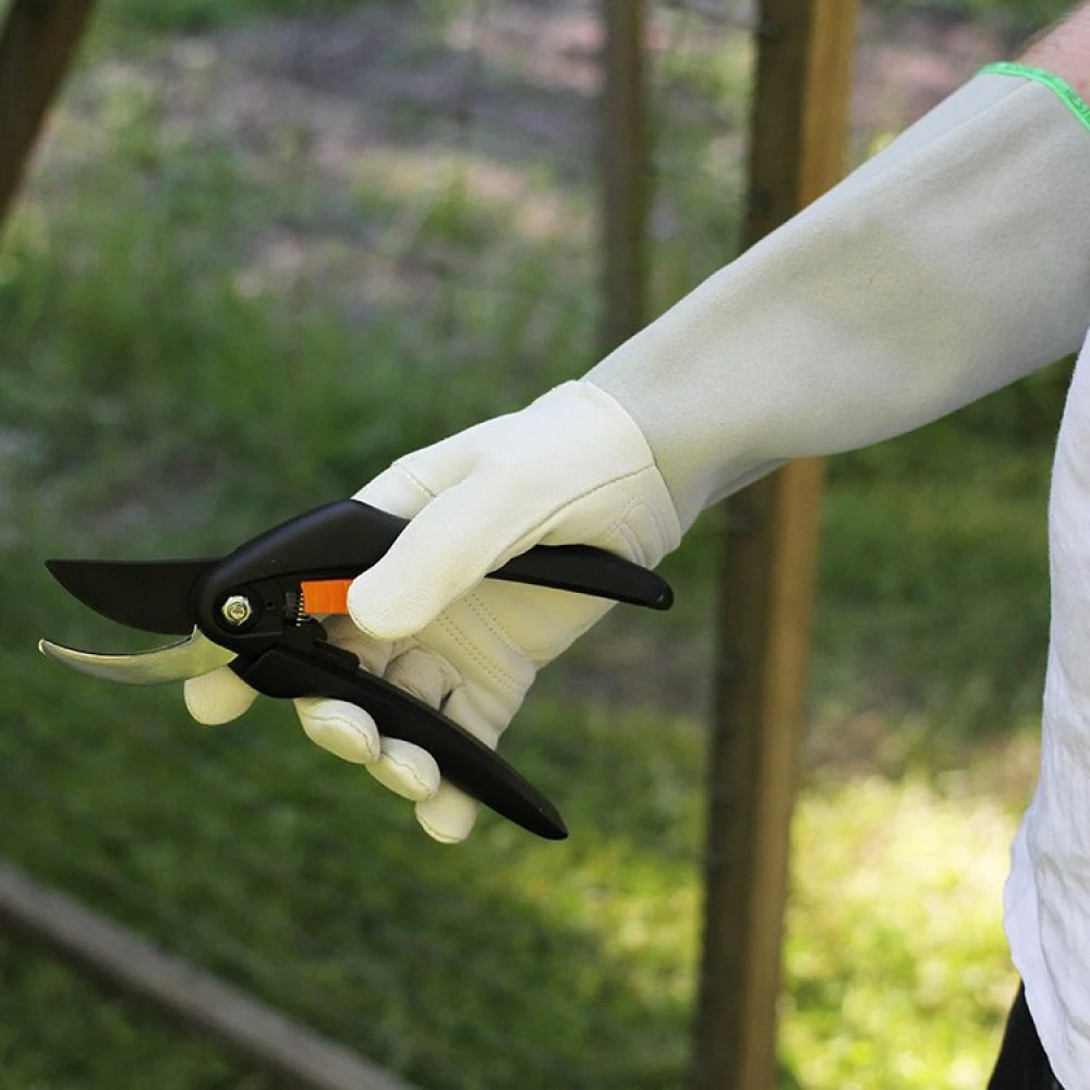 Rose Gloves - Image 7