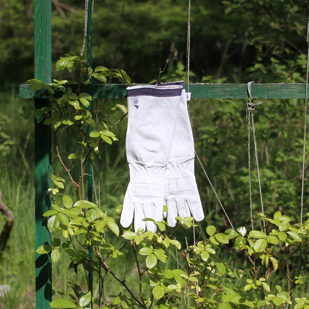 Rose Gloves - Image 8