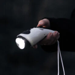 Wind-Up Dynamo Torch And Radio