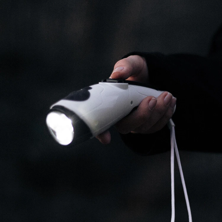 Wind-Up Dynamo Torch And Radio