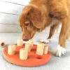 Activity Games For Dogs