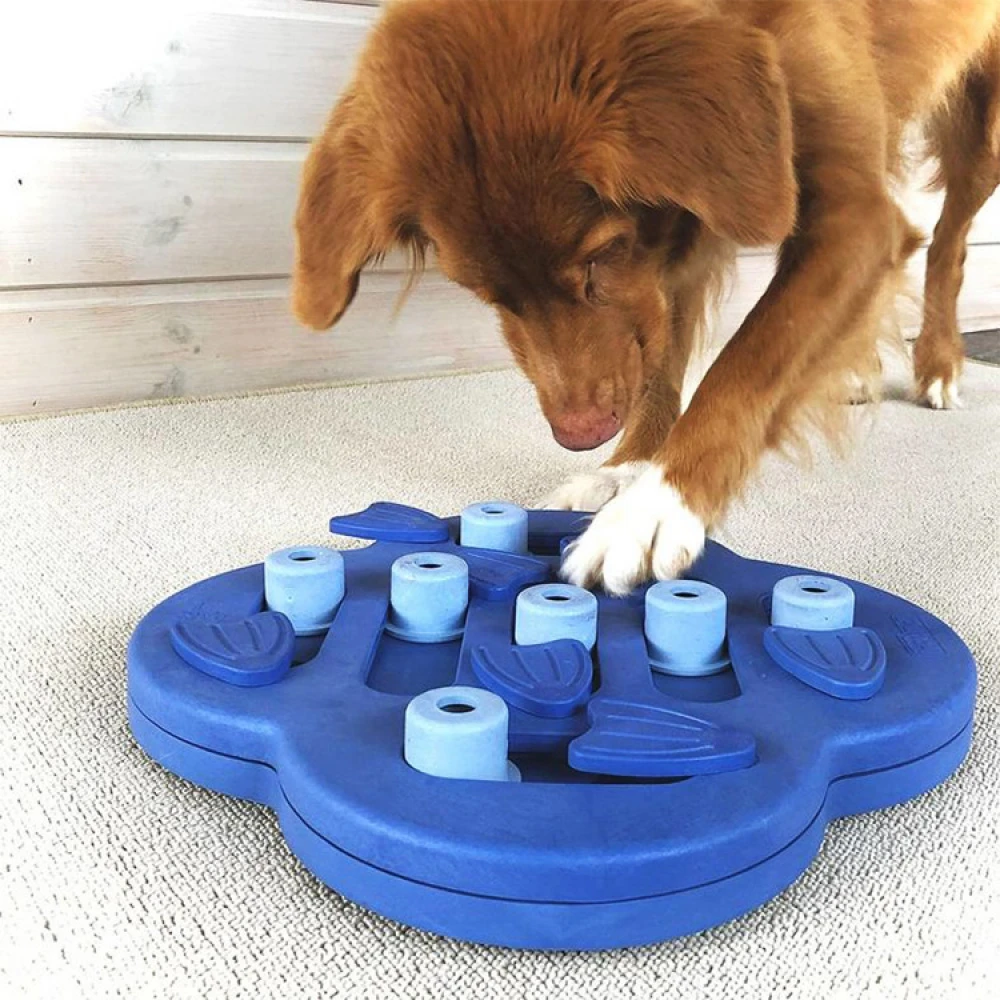 Activity Games For Dogs - Image 2