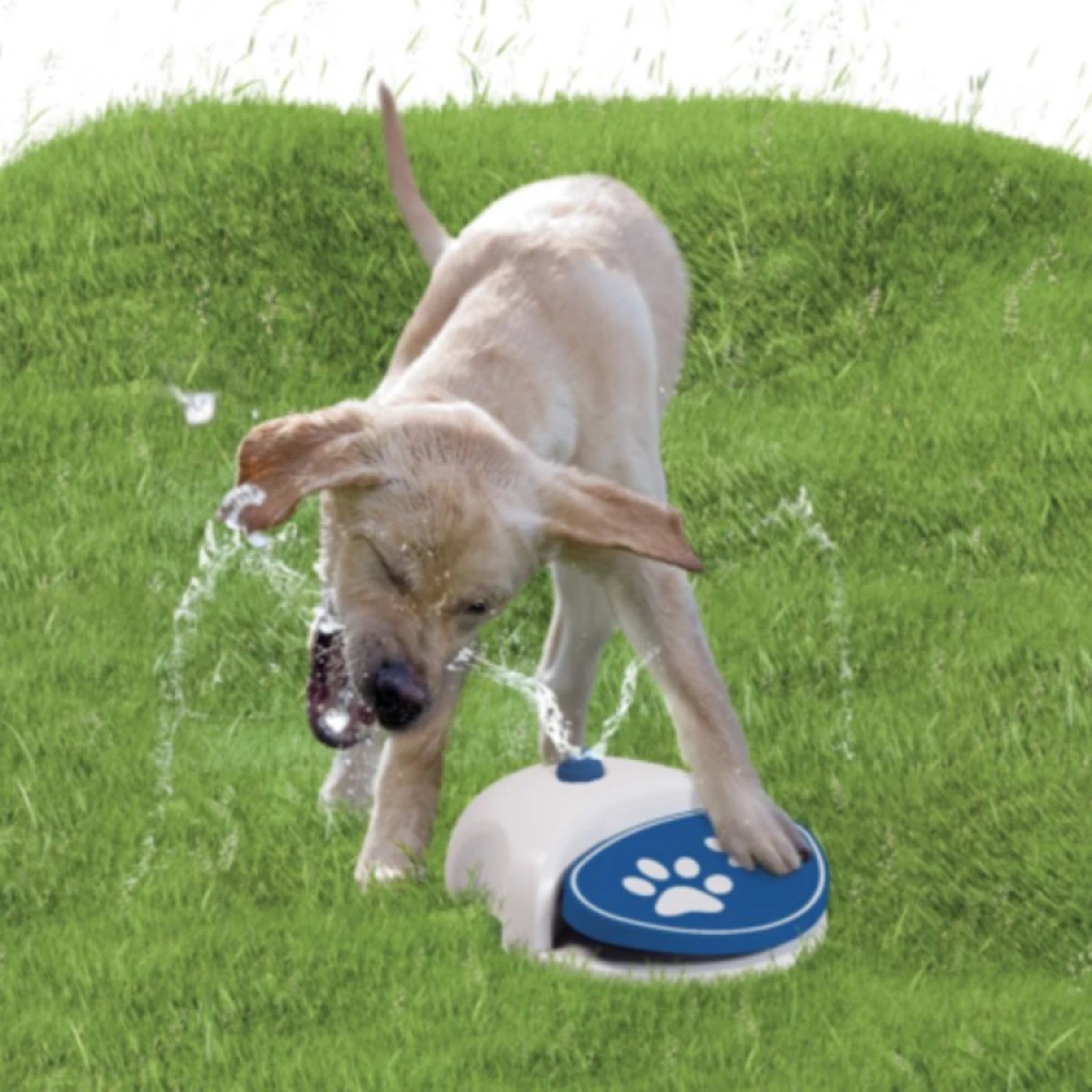 Dog Water Fountain - Image 2