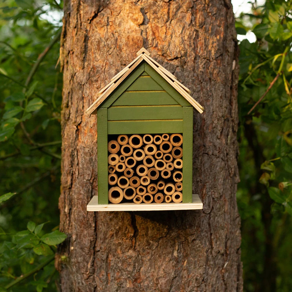 Bee Hotel - Image 2