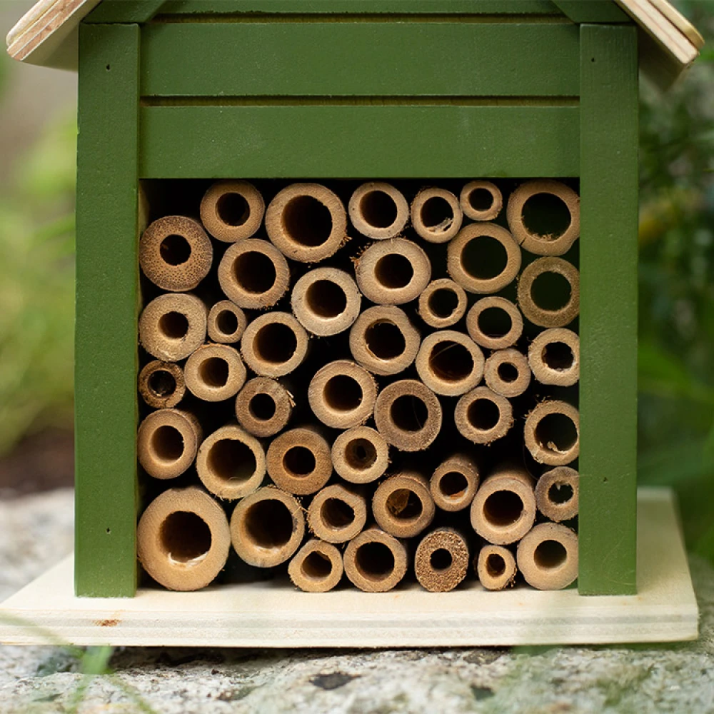 Bee Hotel - Image 4