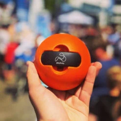 Activity Game With A Ball, Playfinity