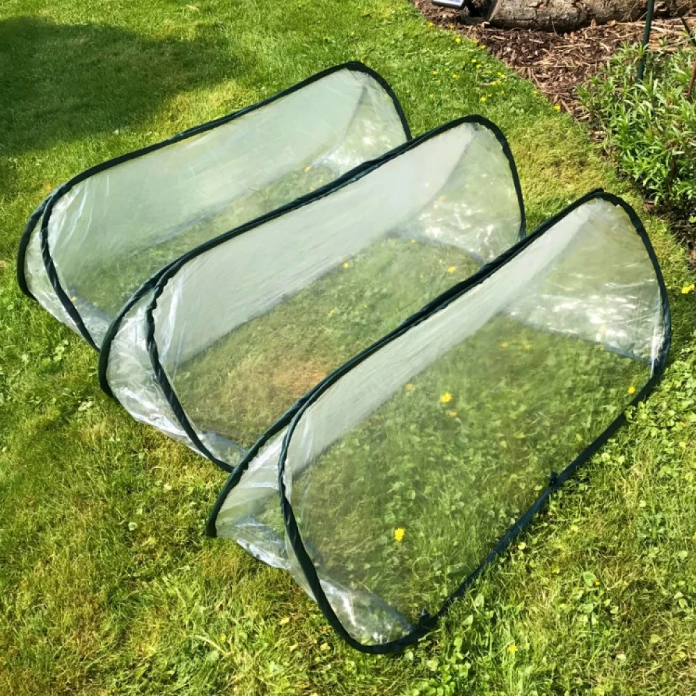 Farming Tunnel In Plastic - Image 2