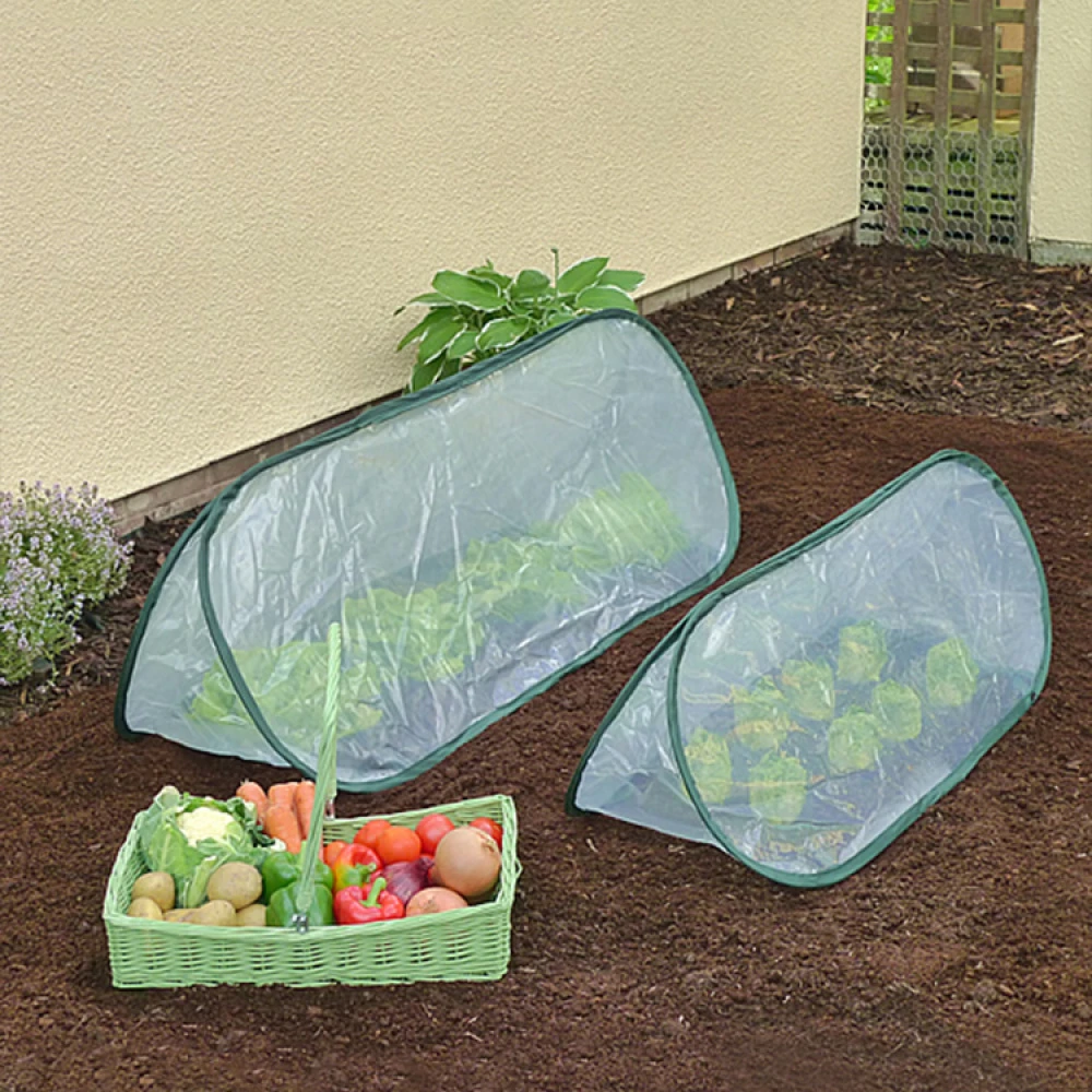 Farming Tunnel In Plastic - Image 3