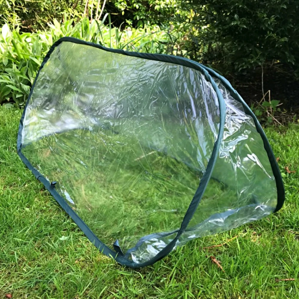 Farming Tunnel In Plastic - Image 5