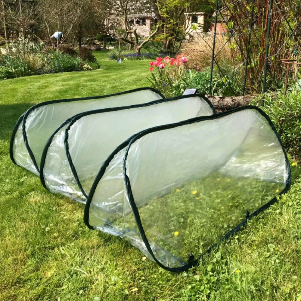 Farming Tunnel In Plastic - Image 7