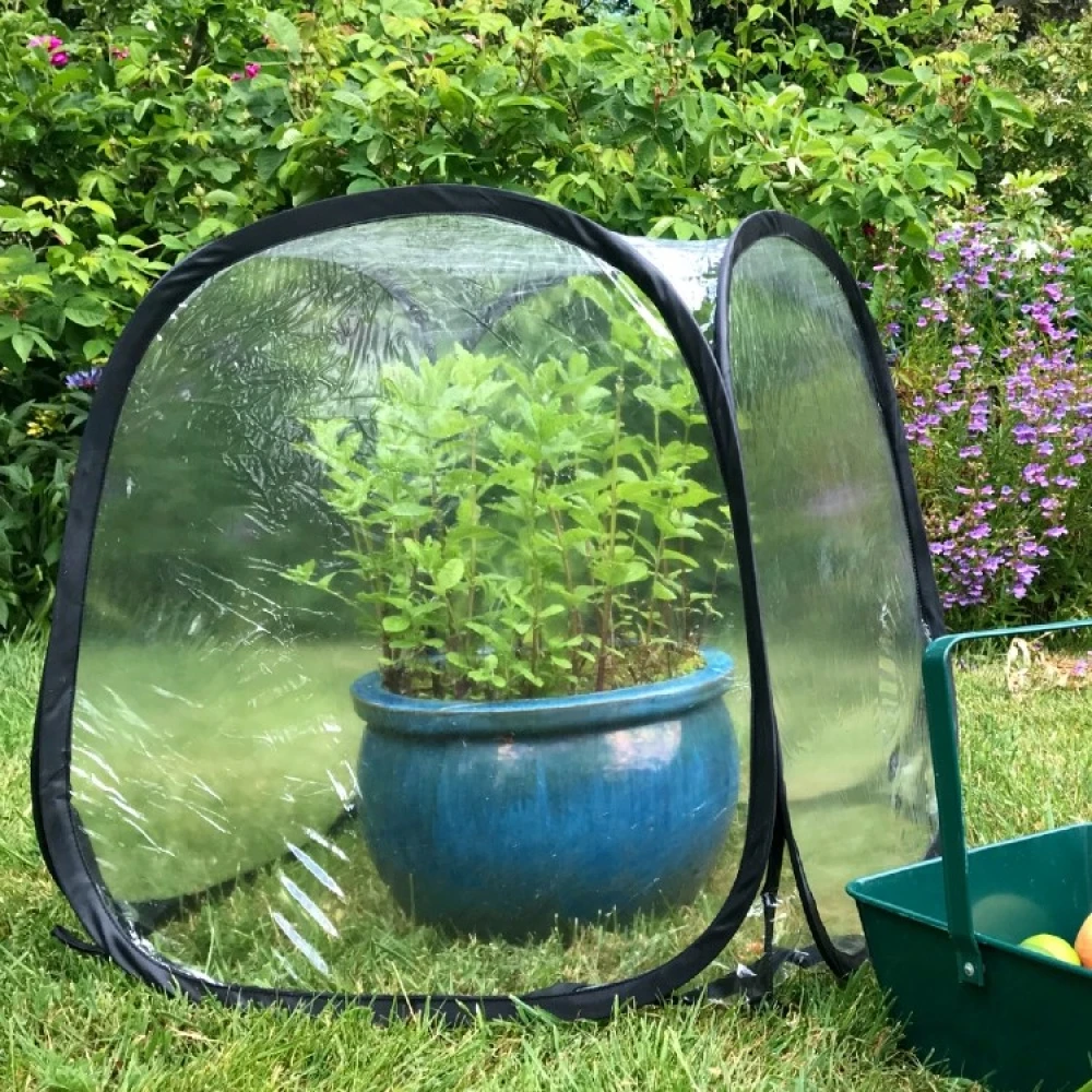 Small Greenhouse For Potted Plants - Image 4