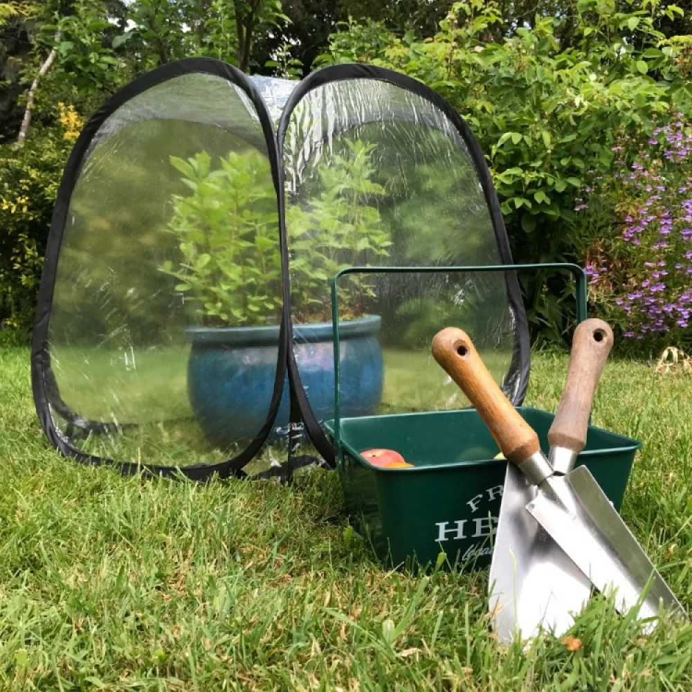 Small Greenhouse For Potted Plants - Image 5