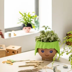 Self-watering Plant Pot, Face