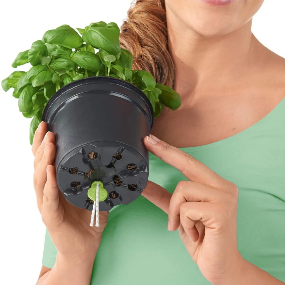 Self-watering Plant Pot, Face - Image 3