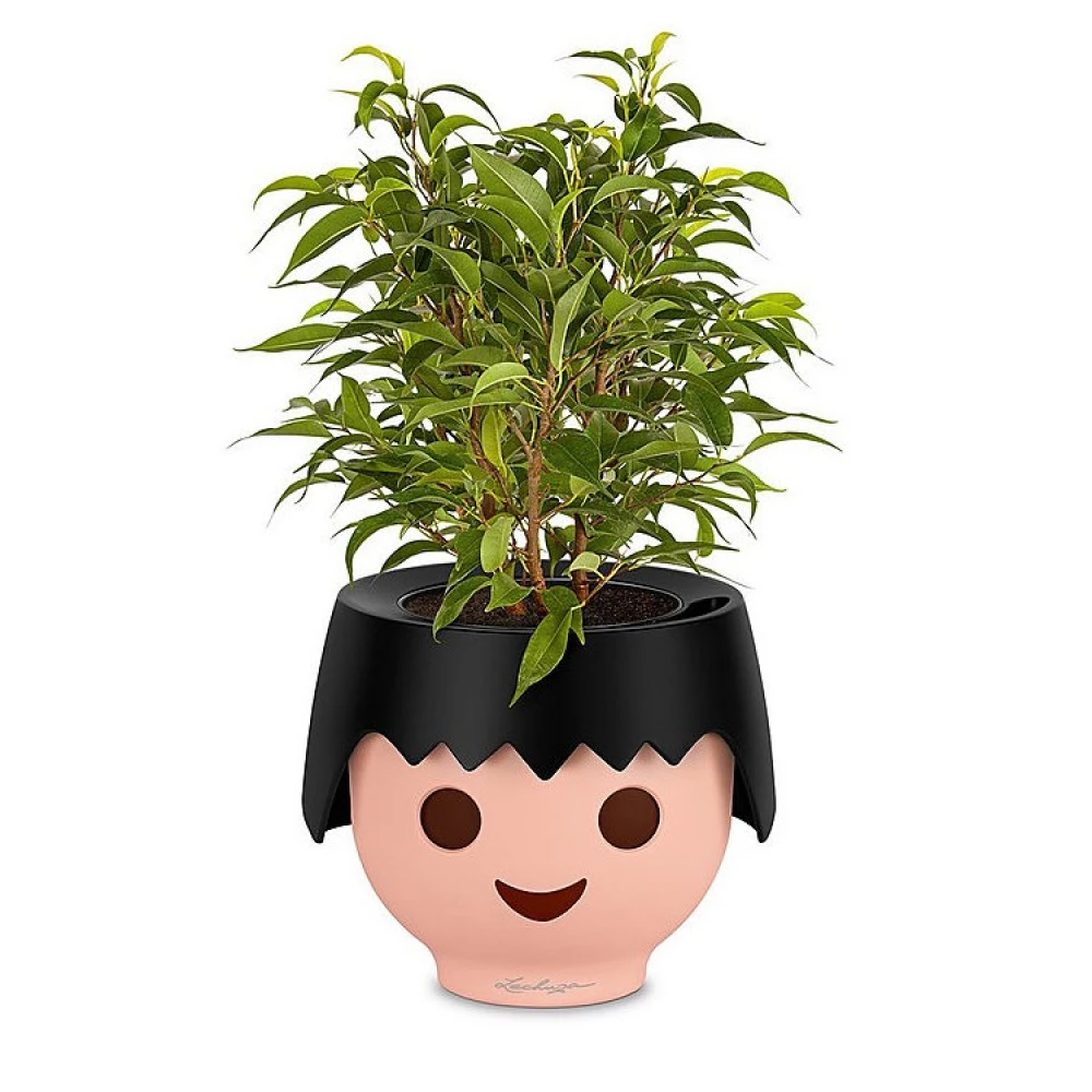 Self-watering Plant Pot, Face - Image 6
