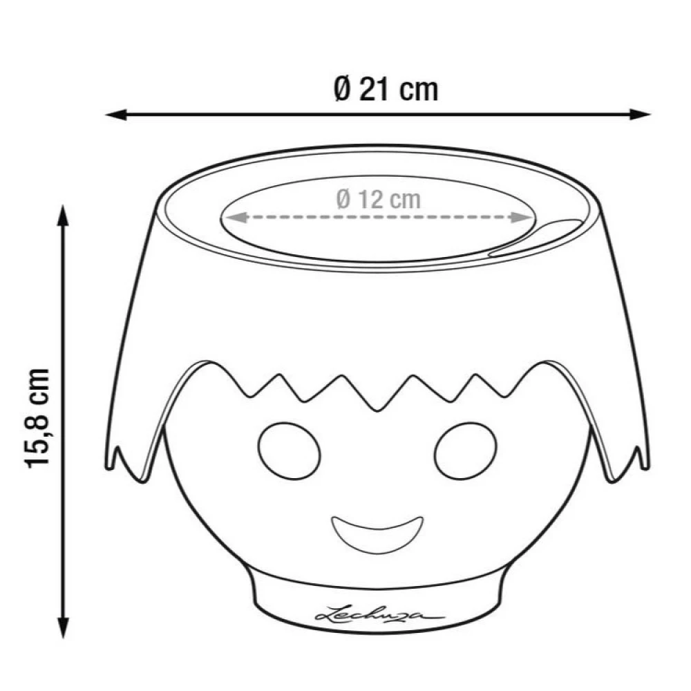 Self-watering Plant Pot, Face - Image 9