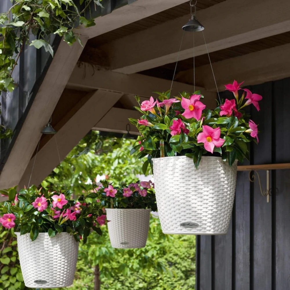Self-watering Hanging Plant Pot - Image 4