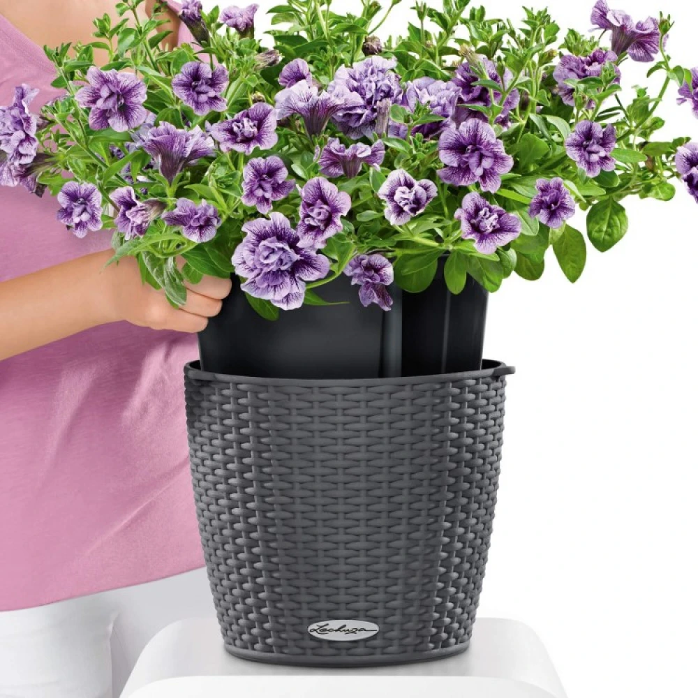 Self-watering Hanging Plant Pot - Image 5