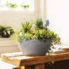 Self-watering Pot, Round