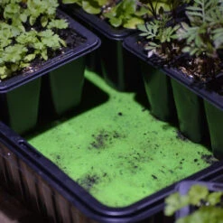 Irrigation Mat 50 Cm X 100 Cm