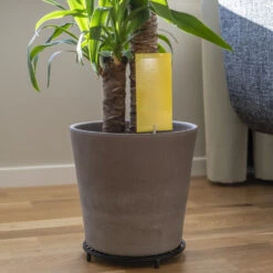 Sticky Trap For Plants 12-pack