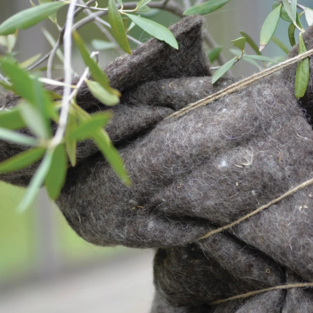 Winter Protection For Plants, Wool Mat - Image 5