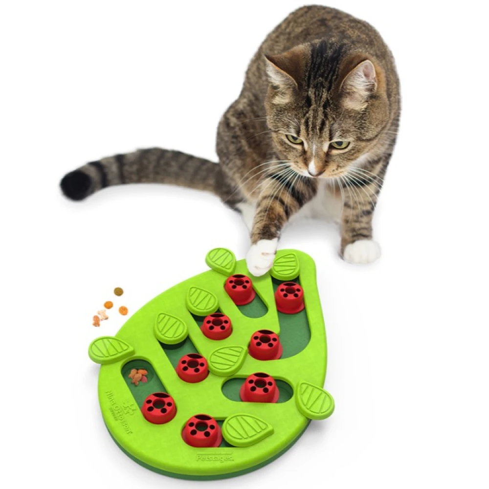 Activity Toy For The Cat - Image 2