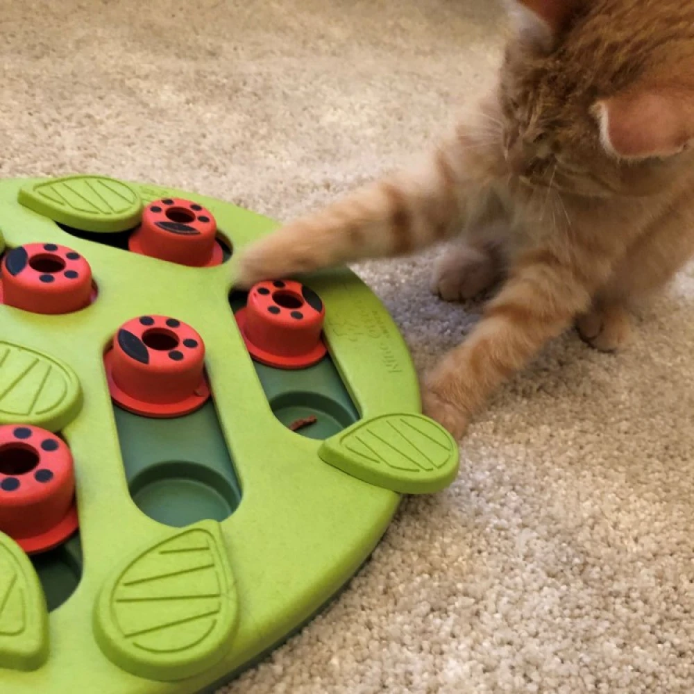 Activity Toy For The Cat - Image 4