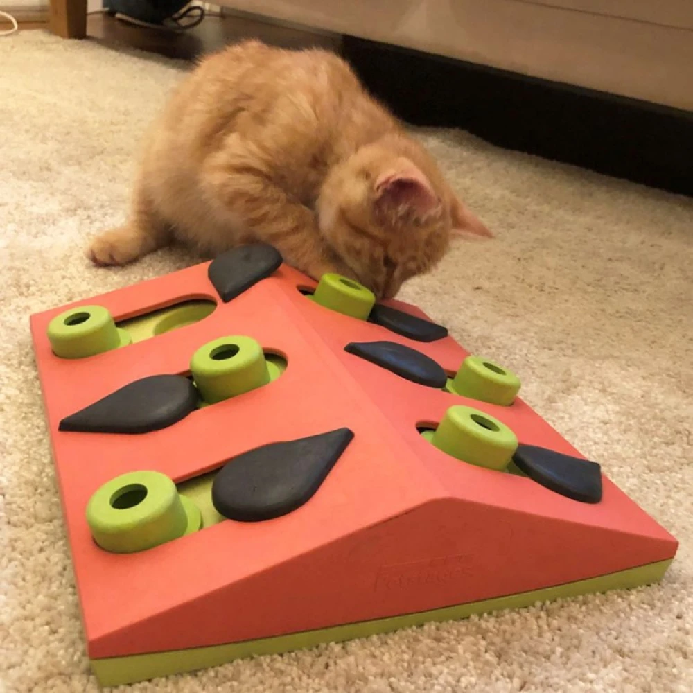 Activity Toy For The Cat - Image 5